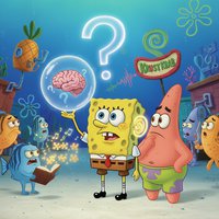 《海绵宝宝英文版》 海绵宝宝的真正笑点，藏在英文原版里。